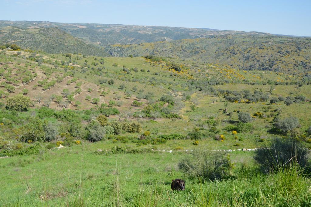 Casa Rural El Meson Fermoselle Eksteriør bilde